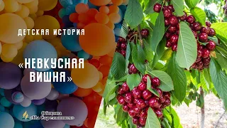 Невкусная вишня | Детская история | Христианские рассказы | Адвентисты Москвы