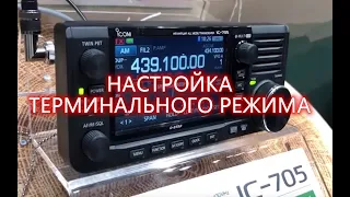 ICOM IC 705 - Настройка терминального режима DSTAR