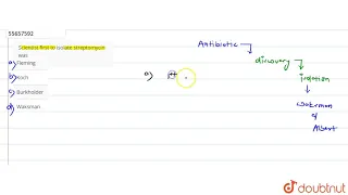 Scientist first to isolate streptomycin was