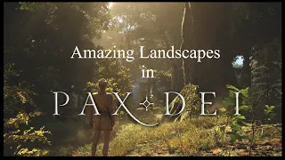 【Amazing Landscapes in Pax Dei】＃PaxDei