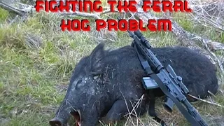 Hog Kills -  Fighting the Feral Hog Problem