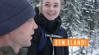 HUIZEN BEZICHTIGEN IN  ZWEDEN & WE ZIEN EEN ELAND..!!