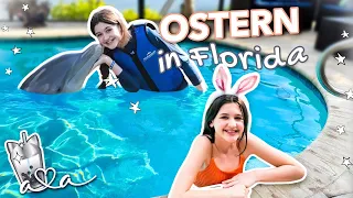 Mein Ostern in Florida 🌴🐰 DELFIN SCHWIMMEN als Ostergeschenk! 🐬 Alles Ava