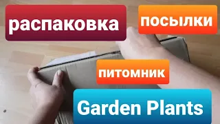 Распаковка посылки с растениями  из питомника Garden Plants