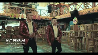 MUY DEMALAS"'Esteban Velasquéz y Wilson David (video oficial)