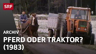Pferdestärke in der Schweizer Landwirtschaft (1983) | Das Pferd als Arbeitstier | SRF Archiv