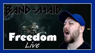 BAND-MAID / FREEDOM (Feb. 14th, 2020) LIVE Reaction | Metal Musician Reacts