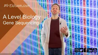 Gene Sequencing - A Level Biology