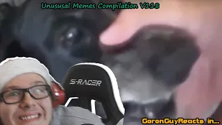 (SCREAMING FROG!) Unusual Memes Compilation V118 - GoronGuyReacts