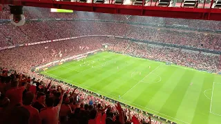 Bayern Real 2:2, penalty on Musial 2:1. Ecstasy! Then Harry Kane's Penalty Goal