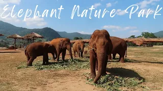 Elephant Nature Park - Chiang Mai - THAILAND - Southeast Asia Travel Video - Part 13