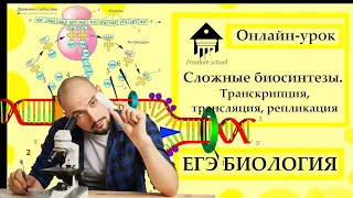 СЛОЖНЫЕ БИОСИНТЕЗЫ - Репликация, Транскрипция, Трансляция для ЕГЭ 2023|ЕГЭ БИОЛОГИЯ|Freedom|