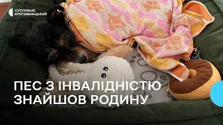 Пес Баунті знайшов родину в Нідерландах