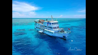 Diving in the Philippines Tubbataha Reef MV Dolphin