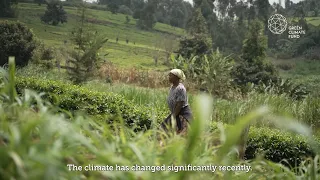 GCF in Kenya: Working with farmers to grow greener farms