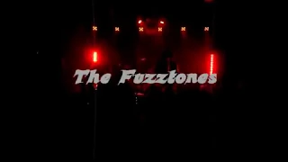 The Fuzztones -live 2019