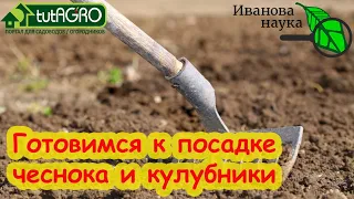 ПОДГОТОВКА УЧАСТКА ПОД ПОСАДКУ ЧЕСНОКА и ЗЕМЛЯНИКИ. Простые шаги для большого урожая.