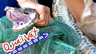 RÙNG MÌNH khi đi thăm lú (12 cửa ngục) gặp QUÁI VẬT giữa ban ngày | Fishing