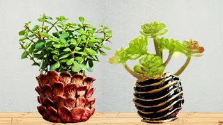 Beautiful small pot for trees made with old plastic bottles #reuse #ideas #diy #easy #treepot