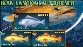 STRIKE! SEMUA IKAN LANGKA DI LAUT BORNEO BERHASIL AKU DAPATKAN - KAIL PANCING