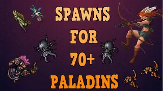 Tibia [Where to hunt RP] - SPAWNS FOR 70+ PALADINS