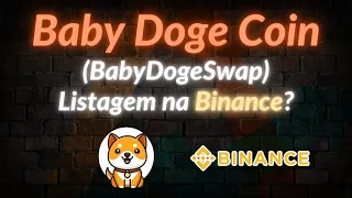 Baby Doge - Binance e BabyDogeSwap - O retorno da Fênix?