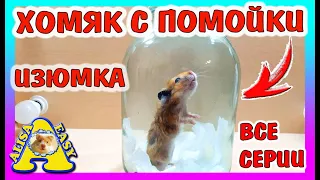 ВЫБРОСИЛИ ХОМЯКА НА ПОМОЙКУ / ИЗЮМКА ВСЕ СЕРИИ / вся история хомки /Alisa Easy Pets