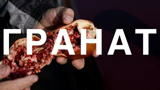 Гранат в поле | Ручной жим | Kazan plus