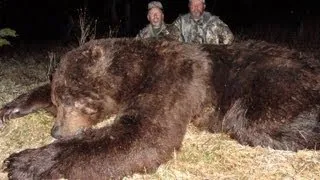 Alaska Brown Bear Hunts