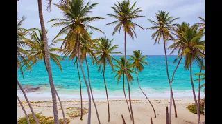 Bahia Principe Grand La Romana/walk around the hotel/ocean water/Dominican Republic