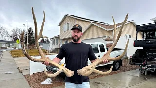 GETTING THE FIRE BULL ANTLERS RESTORED! Time to move on… ✌️