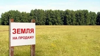Осторожно! В Крыму кидают на землю. Черный список земель в Севастополе