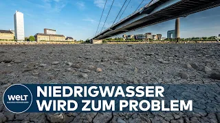 NIEDRIGER PEGEL: "Es gibt schon Stellen am Rhein, da gibt es keinen touristischen Verkehr mehr"