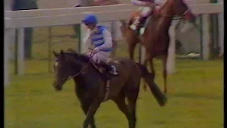 1984 Coronation Stakes Katies v Pebbles + Replay & Enclosure