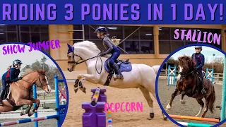 RIDING 3 PONIES IN 1 DAY! 10 HOURS AT THE STABLES! * EXHAUSTING *