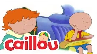 Caillou: Back Seat Driver | Videos For Kids