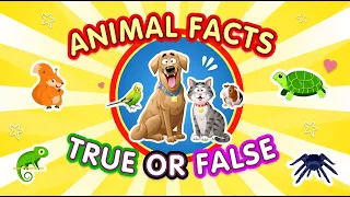 True or False with Animals! Can You Guess All the Answers!? | Animal Quiz