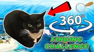 Maxwell The Cat 360° - FIND MAXWELL | VR/360 Video 4K 🔍 🐈‍⬛🐈