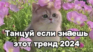 🤧Танцуй если знаешь этот тренд😇💖Тренды 2024года🤧