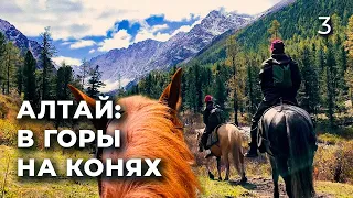 Первый раз в конном походе | Я упала с лошади | Правила безопасности