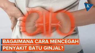 Lima Cara Cegah Batu Ginjal