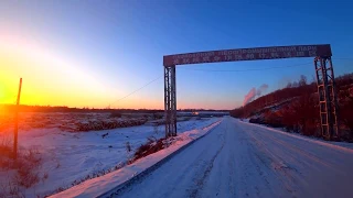 Вырубка ТАЙГИ китайцами, максимальный репост. ПЕРЕЗАЛИВ