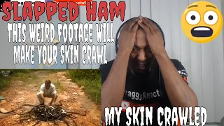 Slapped Ham -This Weird Footage Will Make Your Skin Crawl (REACTION)