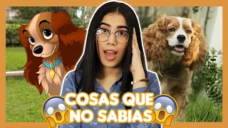 10 Curiosidades de La Dama y el Vagabundo 2019 | Cosas que no sabías