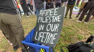 Pro-Palestine demonstration moves off USF campus following Tuesday's arrests