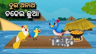 Dui Anatha Chadhei Chhua  | Tiki Chadhei Gapa | Odia gapa | Moral Story | Bird Story | cartoon story