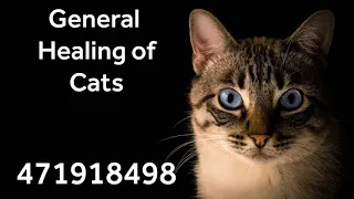 General Healing of Cats with the help of Grabovoi Numbers - 471918498