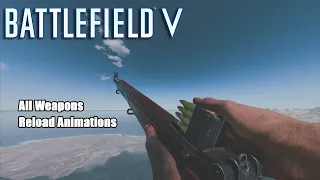 Battlefield V : All Weapons And Reload Animations