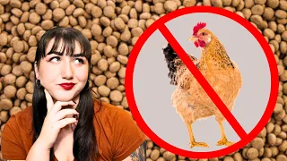 Why Your Dog is Allergic to Chicken (And How to Fix It)