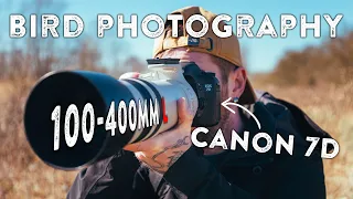 Canon 7D + 100-400mm L Lens Bird Photography